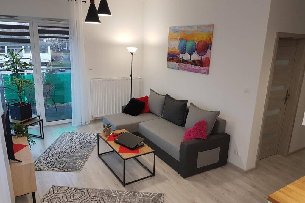 Komfortowy Nowoczesny Apartament Kustronia Z Garazem Balkonem Wanna 别尔斯克-比亚拉 外观 照片